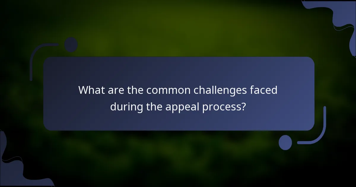 What are the common challenges faced during the appeal process?