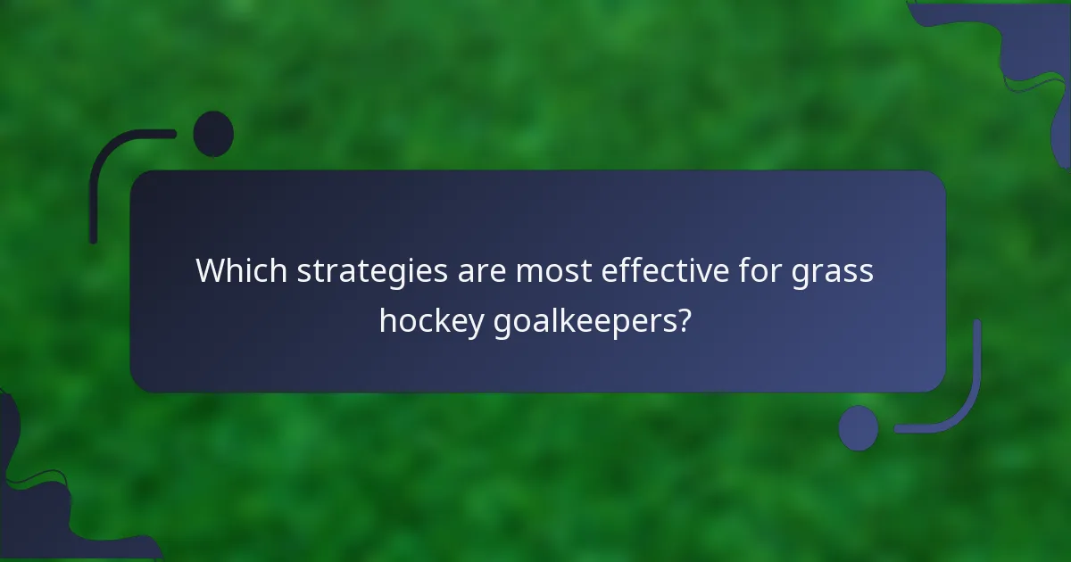 Which strategies are most effective for grass hockey goalkeepers?